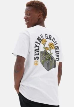 DEPT OF VANS PHOTO SS TEE - T-Shirt Print - White 11 DEPT OF VANS PHOTO SS TEE - T-Shirt Print - White -Vans 33ec0c05f1d64d3ba6c944848a9a03b5