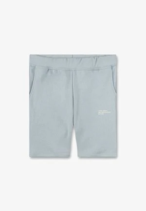 Vans RAINBOW RIDER - Shorts - Medium Blue 4 Vans RAINBOW RIDER - Shorts - Medium Blue – Bild 4