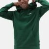 Vans CORE BASIC PO - Sweatshirt - Dark Green