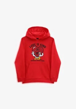 Vans HANDLE WITH CARE PO - Kapuzenpullover - Dark Red